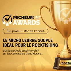 Reins Leurres Carnassiers^Leurre Souple Rockvibe Shad 2” - 5Cm