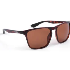Shimano Lunettes Polarisantes|Lunettes Polarisantes^Lunettes Polarisantes Ultegra