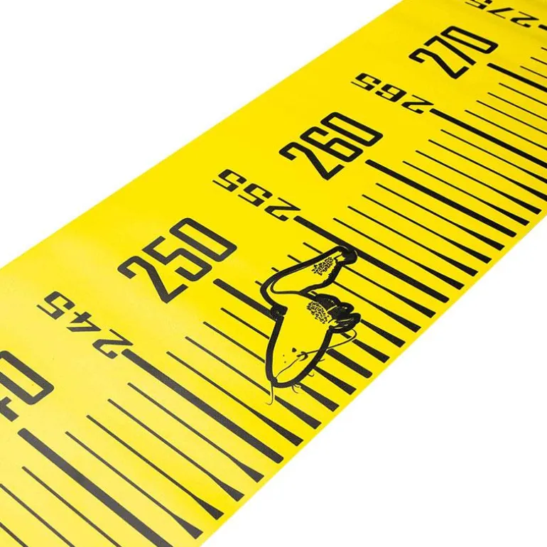 Mesure À Poisson Black Cat Cat Measure