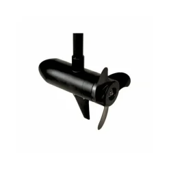 Haswing Moteurs Électriques Bateau^Moteur Électrique Cayman T55 12V
