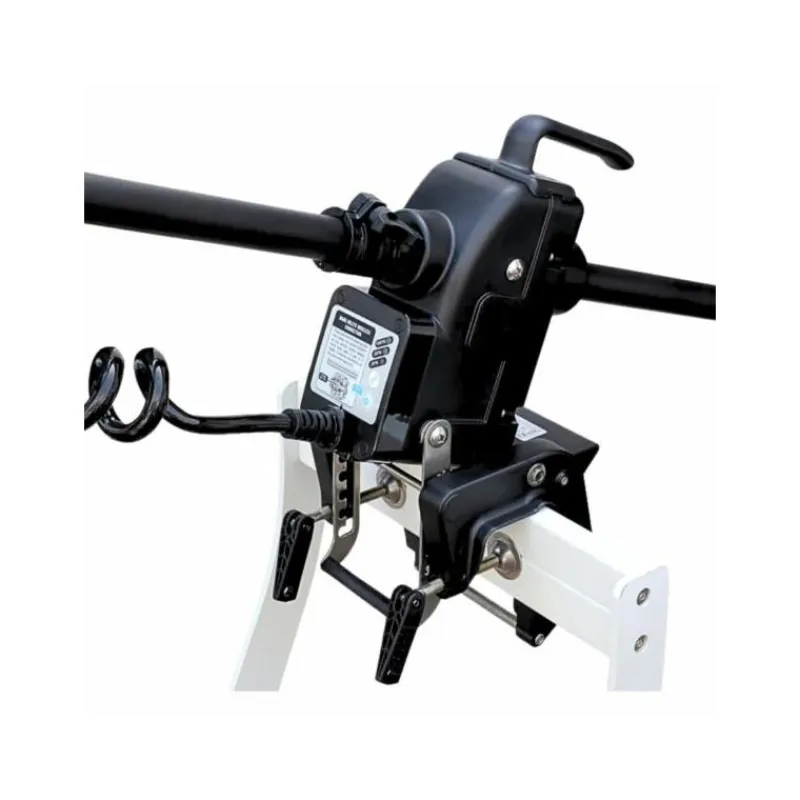 Haswing Moteurs Électriques Bateau^Moteur Électrique Cayman T55 12V