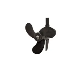 Moteur Électrique Haswing Cayman-B 80Lbs 24V