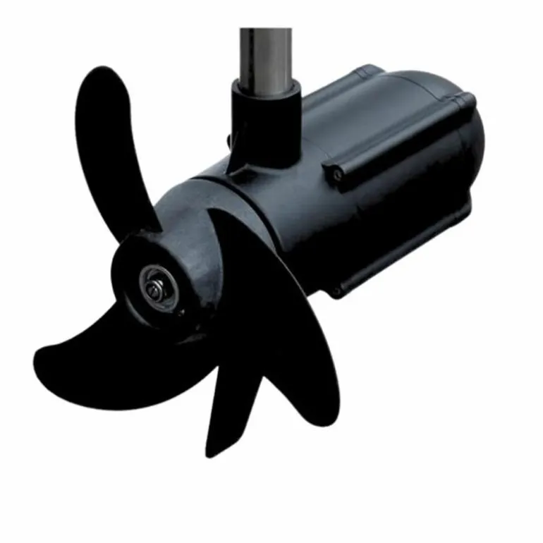 Moteur Électrique Haswing Protruar 3.0 110Lbs 24V