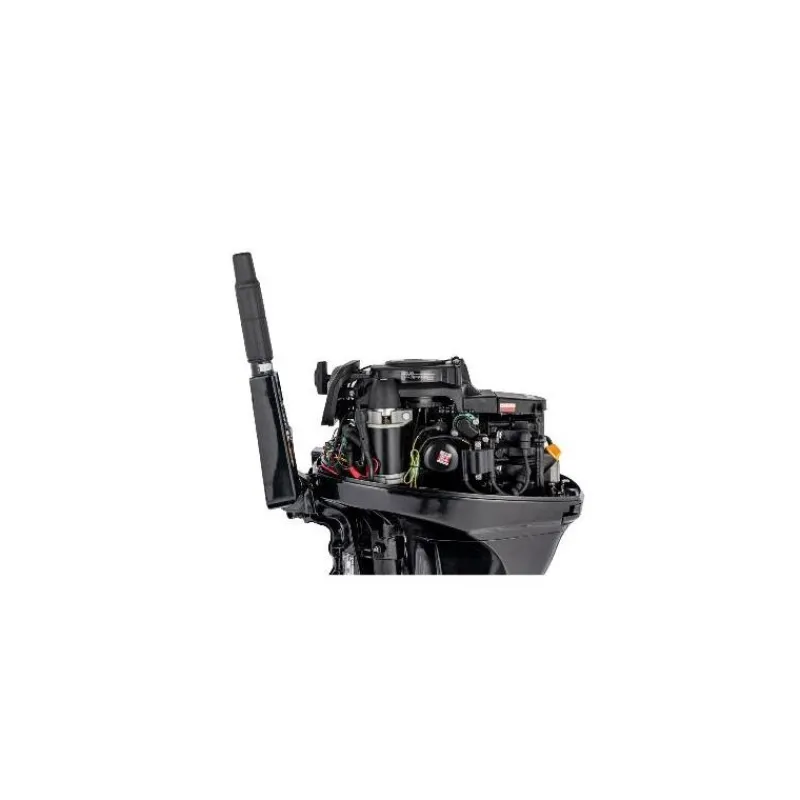 Parsun Moteurs Thermiques Bateau^Moteur Thermique F15bml - 15 Cv - Arbre Long Barre Franche
