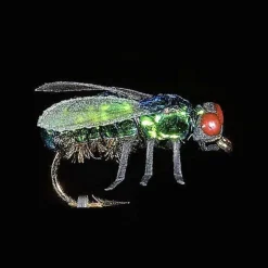 Mouche Jmc Insectes Réalistes Noire