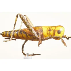 Mouche Jmc Sauterelle 24