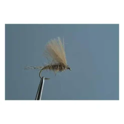 TOF Mouches^Mouche Émergente Oreille De Lievre