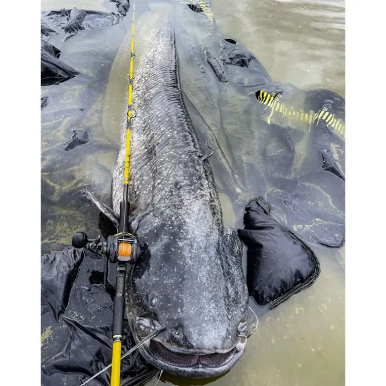 Moulinet Casting Black Cat Cast 301 Lh