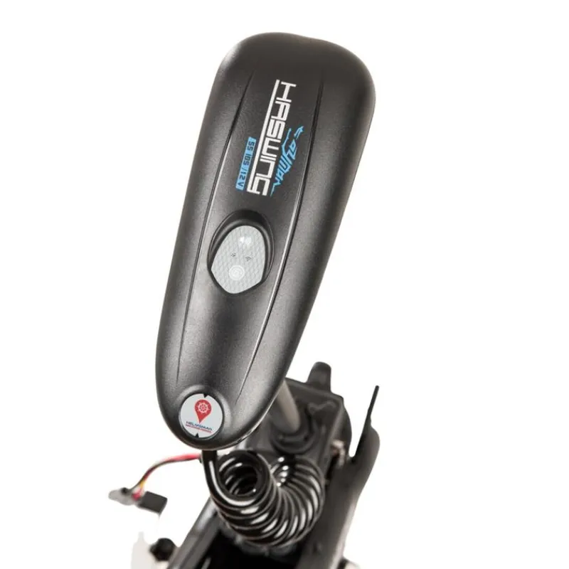 Haswing Moteurs Électriques Bateau^Pack Energy Cayman B 55Lbs Gps Version 1.6 Avec Pédale Sans Fil, Télécommande, Plaque Quick Release Batterie Marine 12V100amp