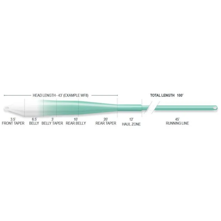 Soie Mouche Airflo Superflo Max Ridge 2.0 Flats Universal Clear Tip Fly Line