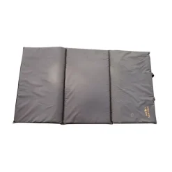 Tapis De Reception Standard Specimen Carpe