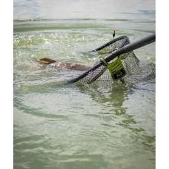 Fox Matrix Epuisettes - Bourriches^Tête D'épuisette Carp Scoop Landing Net