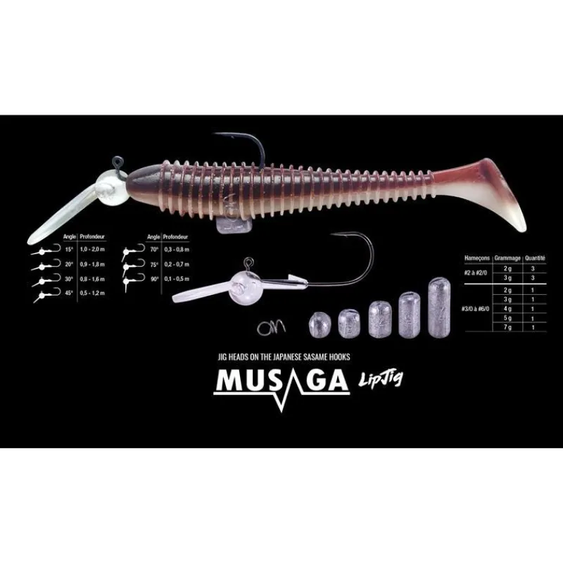 Musaga Têtes Plombées|Têtes Plombées^Tête Lipjig
